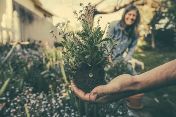 Photo Sensory garden