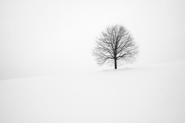 Photo Winter haircare